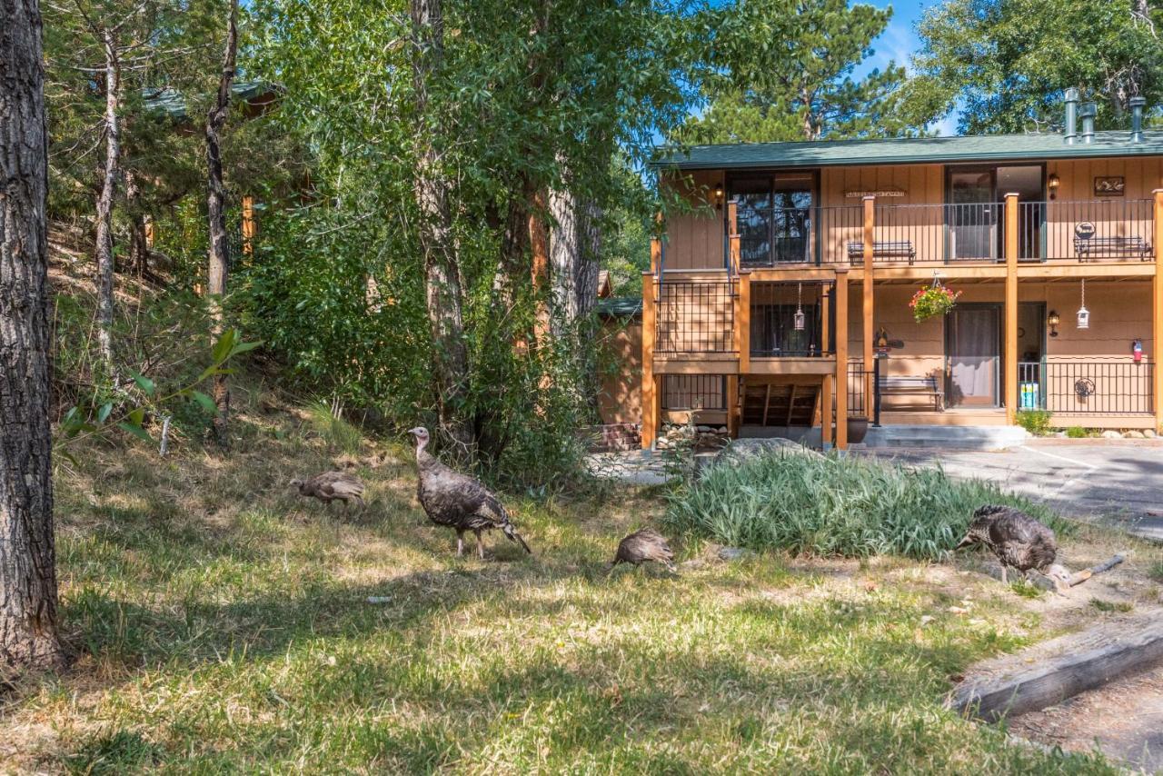 4 Seasons Inn On Fall River Estes Park Bagian luar foto