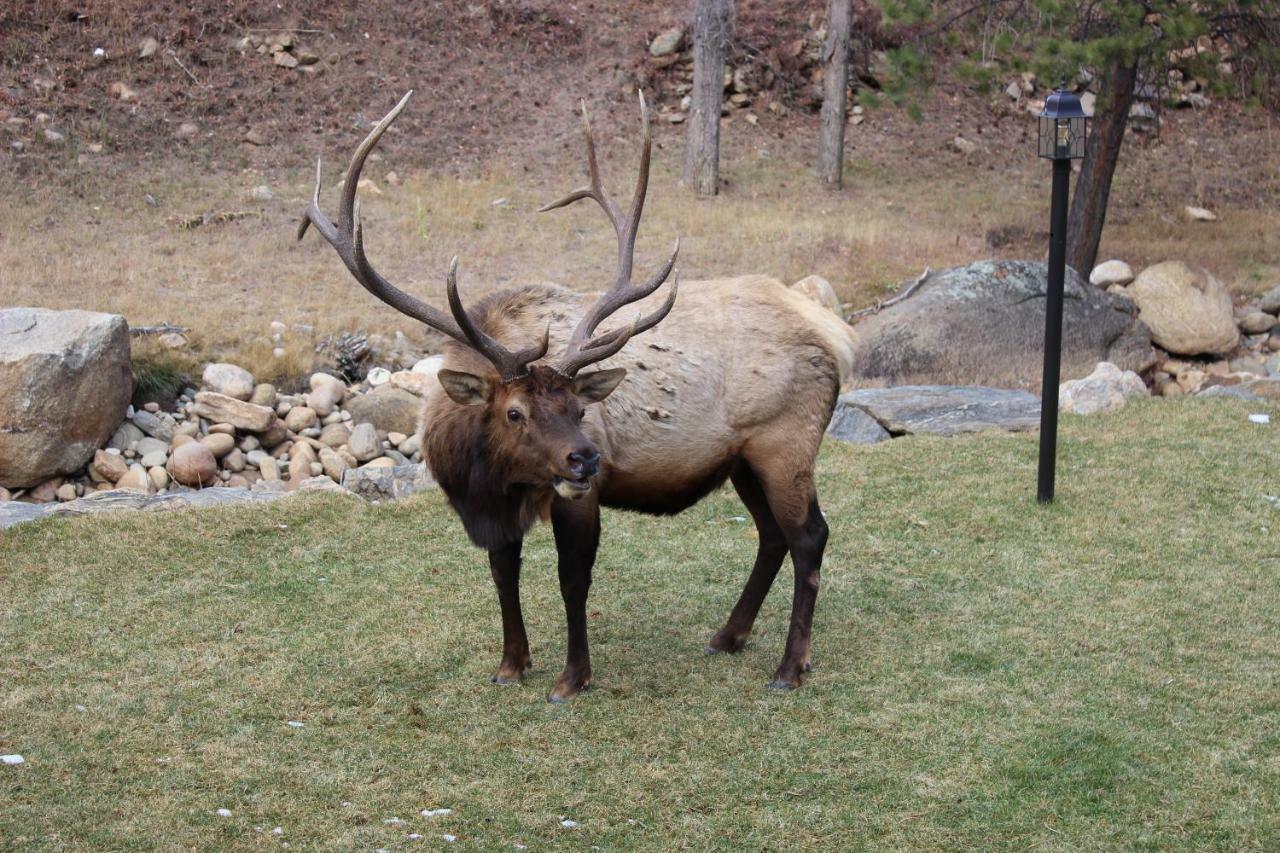 4 Seasons Inn On Fall River Estes Park Bagian luar foto
